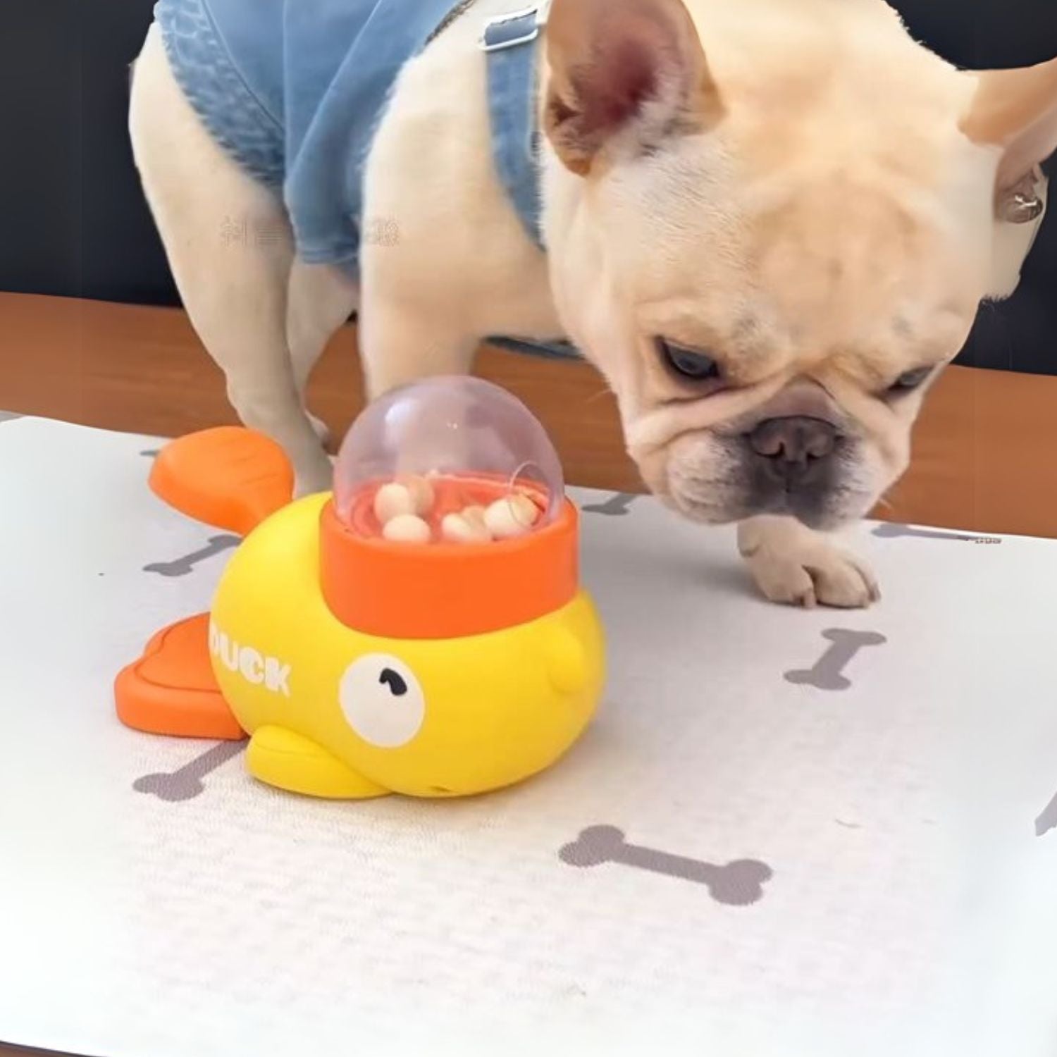 Ducky Dog Puzzle Toy | Interactive Slow Feeder, Premium ABS for Small Breeds 5