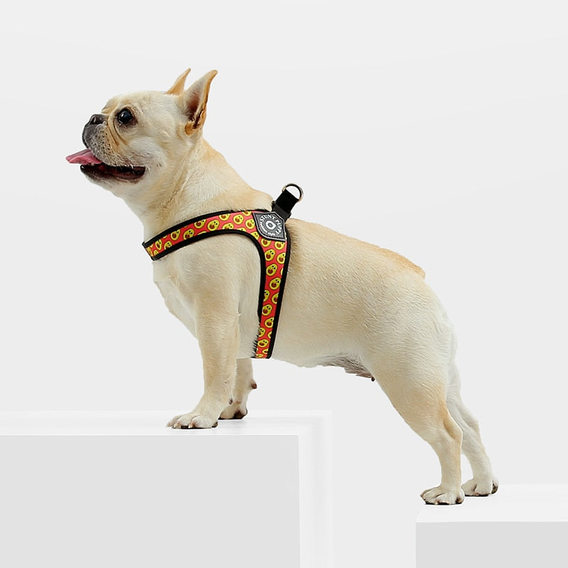 Elysian Bulldog Harness | No Pull, Premium Leather for Comfort and Style 0