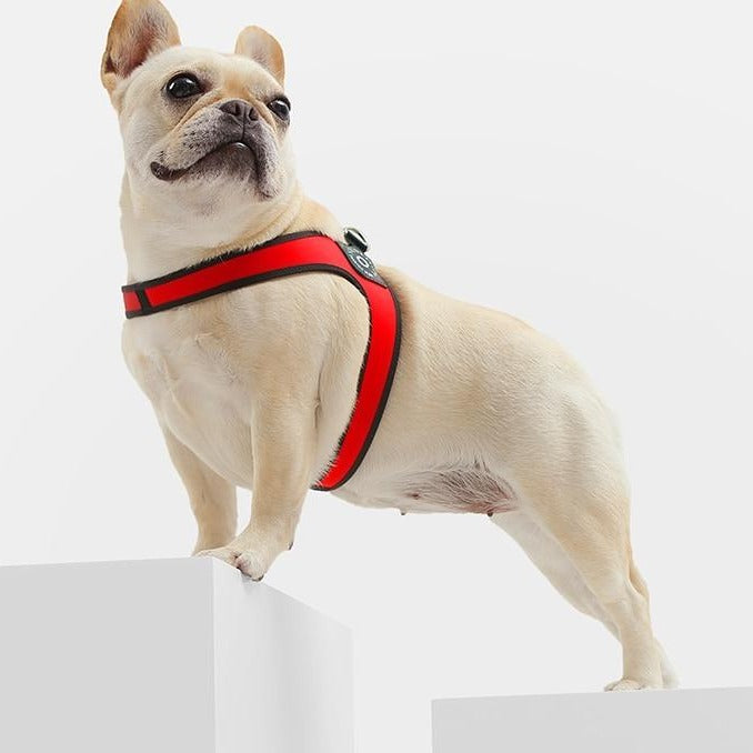 Elysian Bulldog Harness | No Pull, Premium Leather for Comfort and Style 2