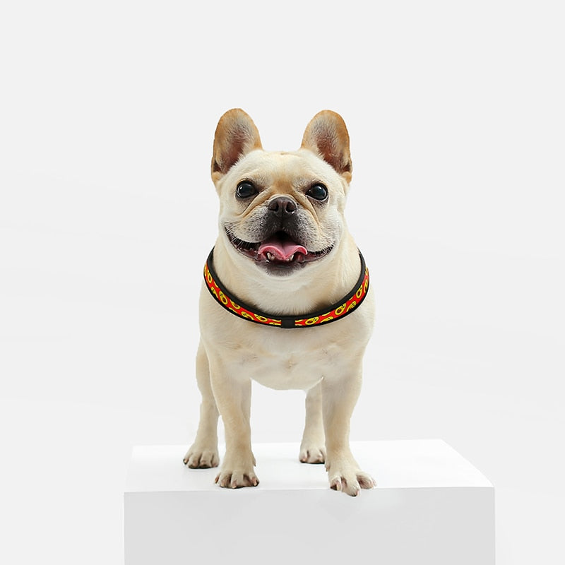 Elysian Bulldog Harness | No Pull, Premium Leather for Comfort and Style 5