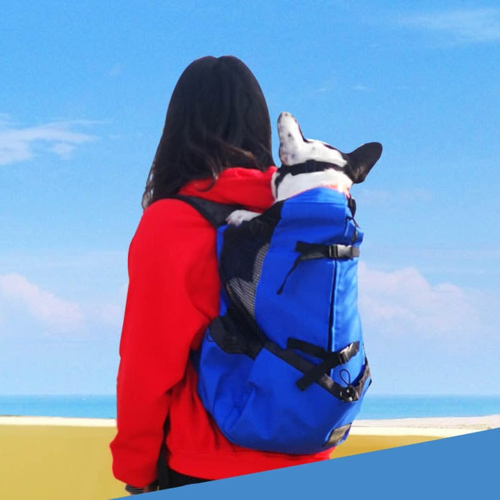 Fido Dog Carrier Bag | Breathable, Lightweight, Perfect for Small Dogs 10