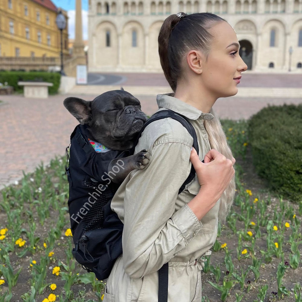 Fido Dog Carrier Bag | Breathable, Lightweight, Perfect for Small Dogs 4