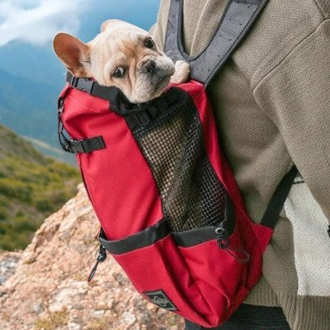 Fido Dog Carrier Bag | Breathable, Lightweight, Perfect for Small Dogs 5