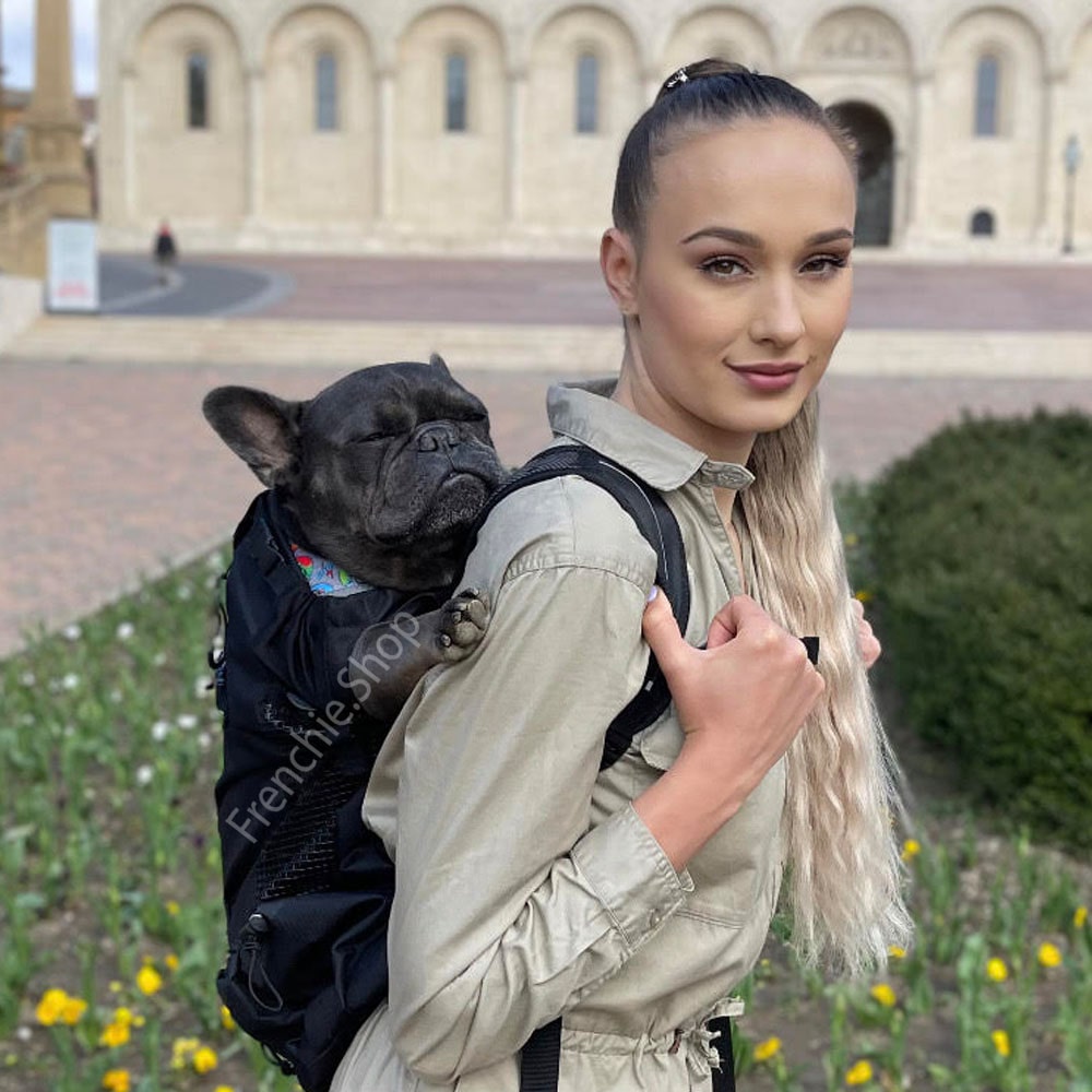 Fido Dog Carrier Bag | Breathable, Lightweight, Perfect for Small Dogs 8