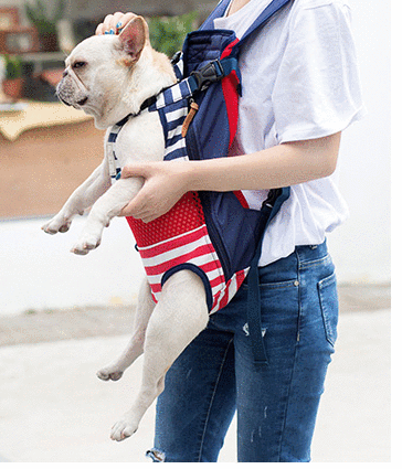 Fido Dog Carrier Bag | Ergonomic, Breathable for Small Dogs 2