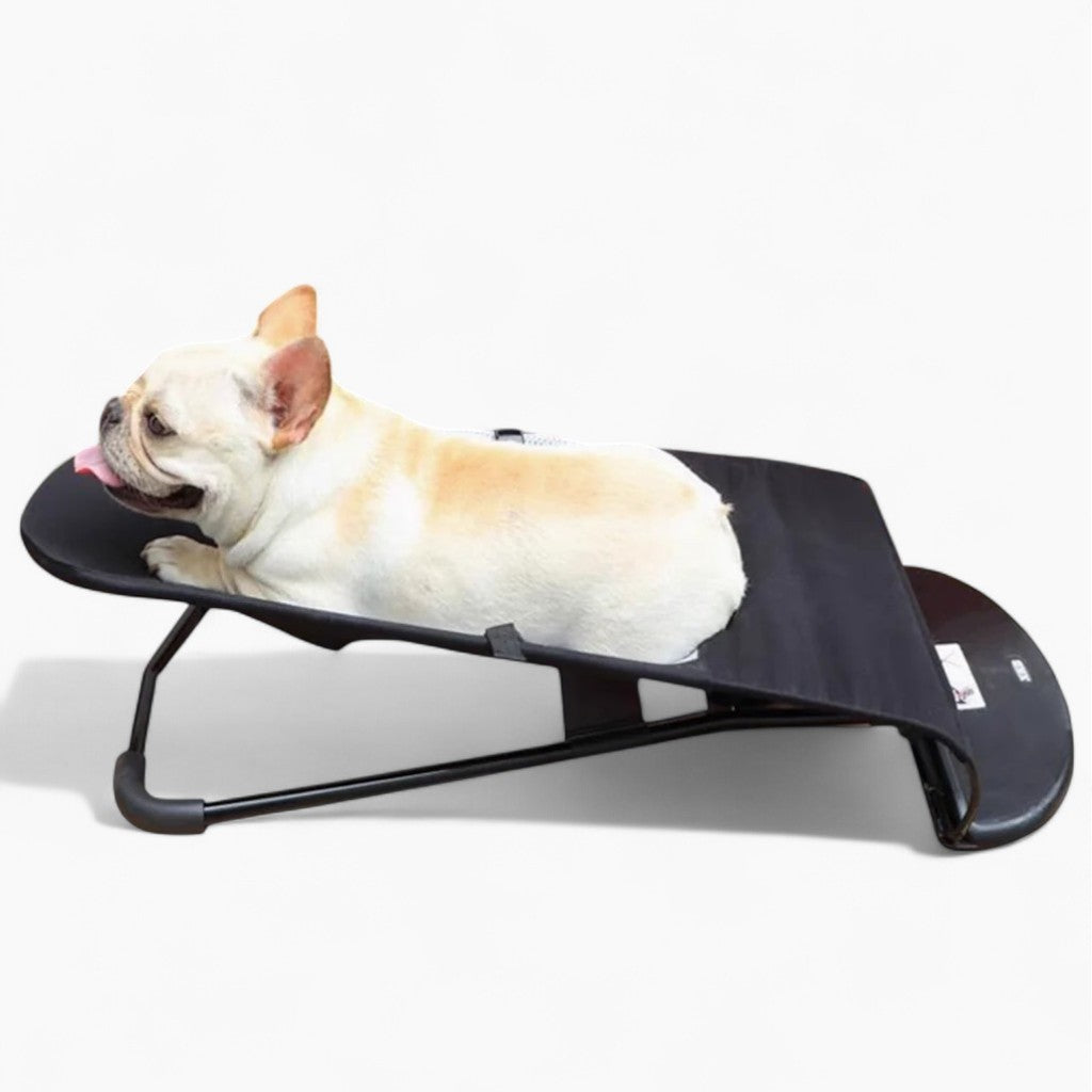 Fido Dog Chair | Portable, Breathable Cloth for French Bulldogs 1