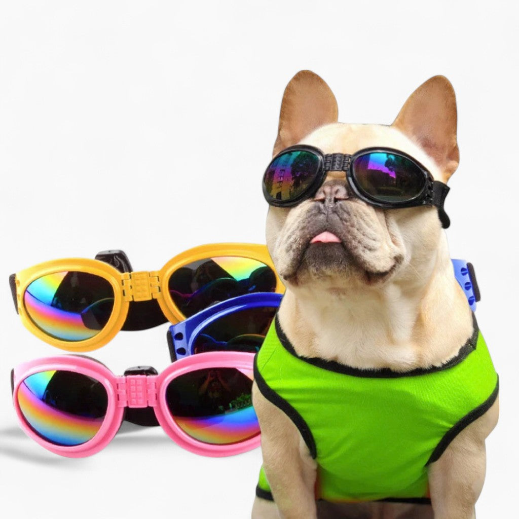 Fido Dog Goggles | Waterproof Eye Protection, Anti-UV for Outdoor Adventures 0