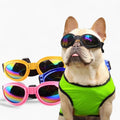 Fido Dog Goggles | Waterproof Eye Protection, Anti-UV for Outdoor Adventures 0