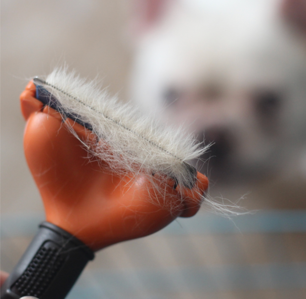 Fido Dog Grooming Comb | Reduces Shedding, Ergonomic Design 7