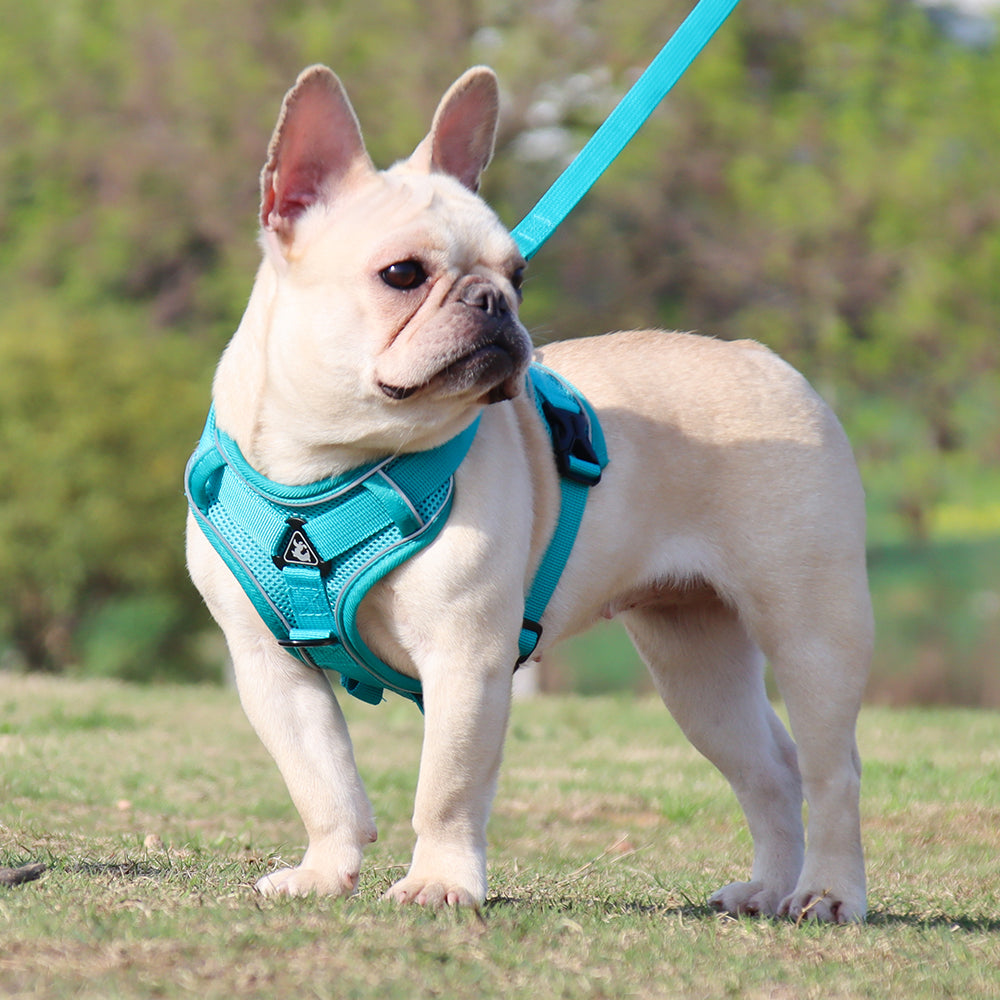 Fido Dog Harness | No Pull, Adjustable with Handle for French Bulldogs 3