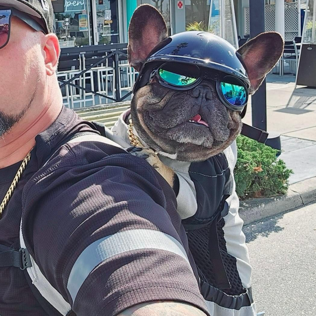 Fido Dog Helmet | Lightweight, Impact-Resistant, Adjustable Fit 0