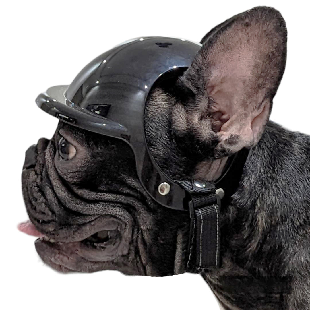 Fido Dog Helmet | Lightweight, Impact-Resistant, Adjustable Fit 2