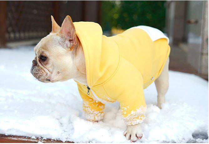 Fido Dog Hoodie | 100% Cotton, Cozy Design for French Bulldogs 8