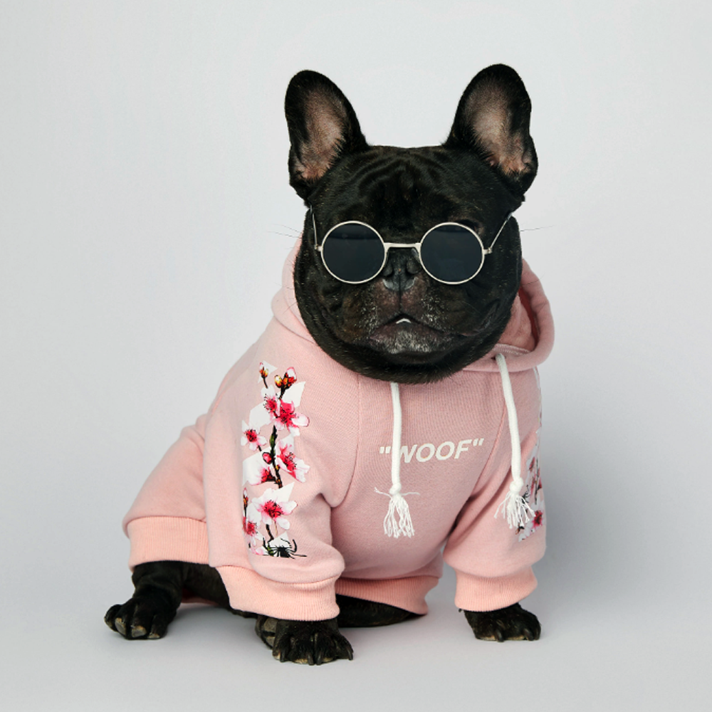 Fido Dog Hoodie | Soft, Durable Sweatshirt for French Bulldogs 4