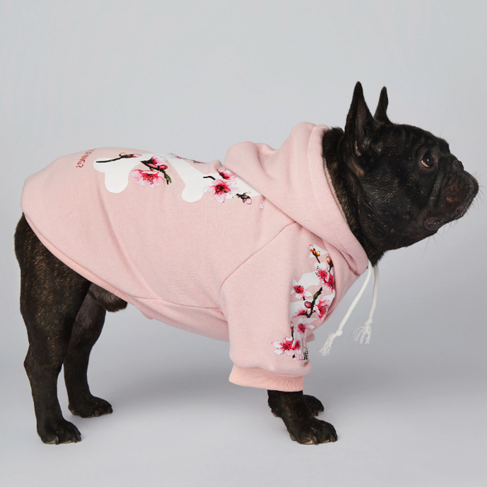 Fido Dog Hoodie | Soft, Durable Sweatshirt for French Bulldogs 6