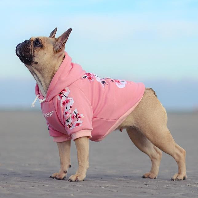Fido Dog Hoodie | Soft, Durable Sweatshirt for French Bulldogs 8