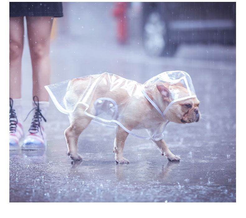 Fido Dog Raincoat | Transparent Waterproof Coat for Stylish Dogs 1