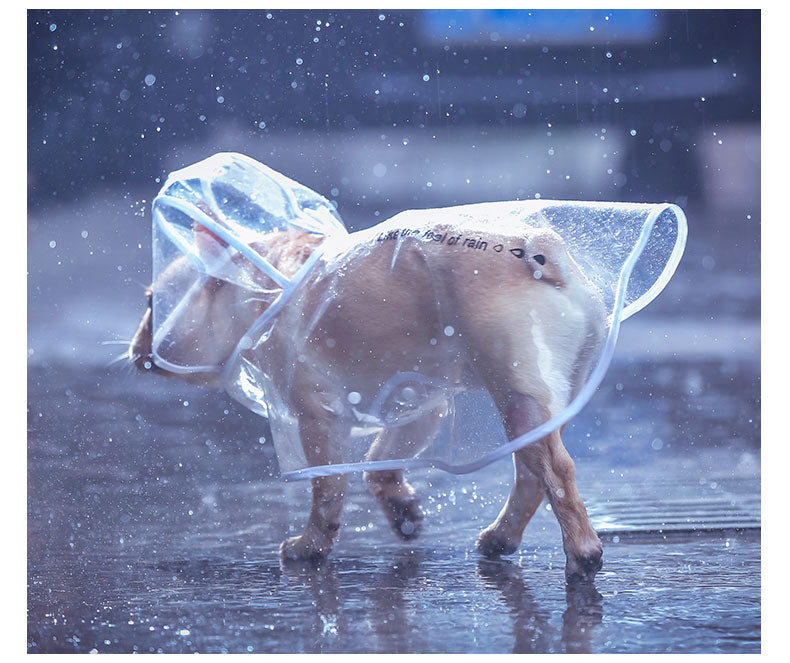 Fido Dog Raincoat | Transparent Waterproof Coat for Stylish Dogs 3