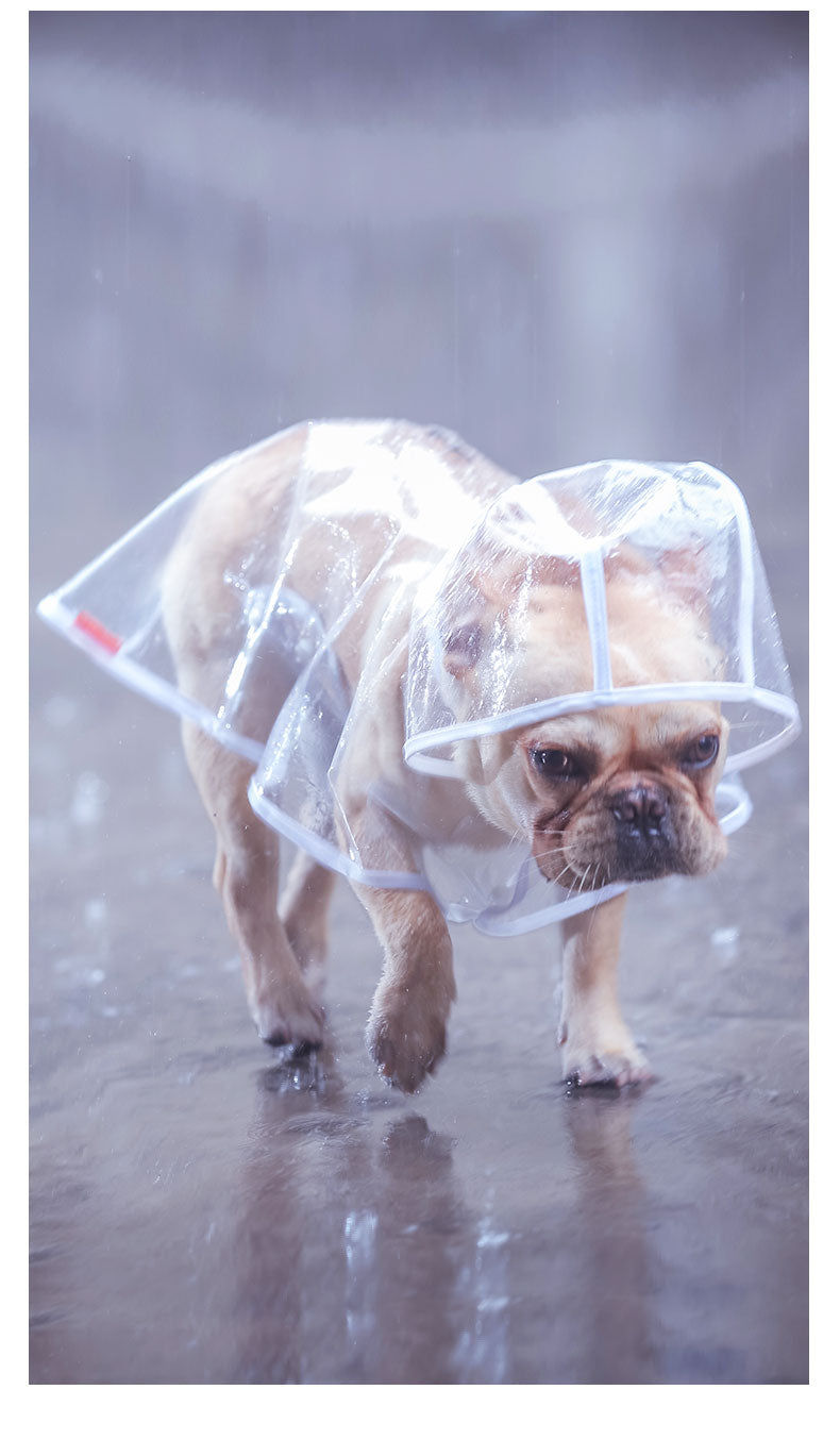 Fido Dog Raincoat | Transparent Waterproof Coat for Stylish Dogs 4