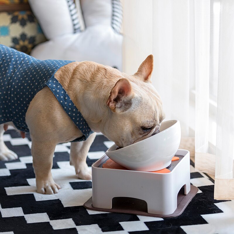 Fido Elevated Dog Bowl | Ceramic, Adjustable Design for French Bulldogs 2