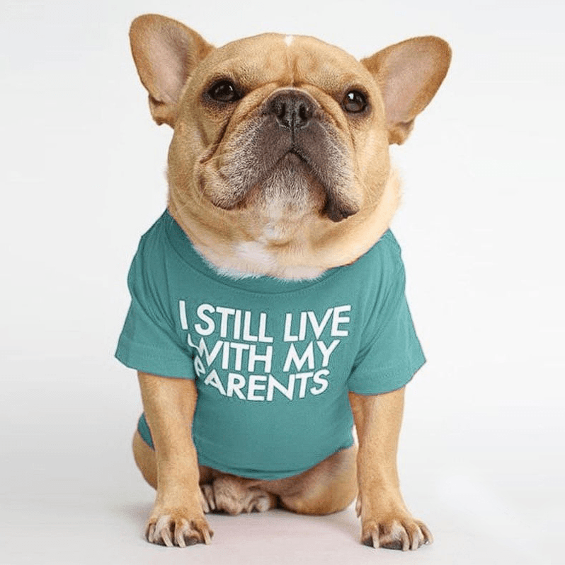 Fido French Bulldog Shirt | Cute Design, Soft Fabric 0