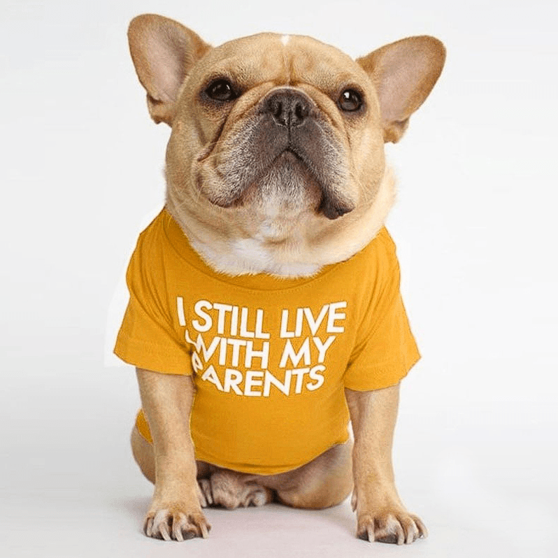 Fido French Bulldog Shirt | Cute Design, Soft Fabric 2