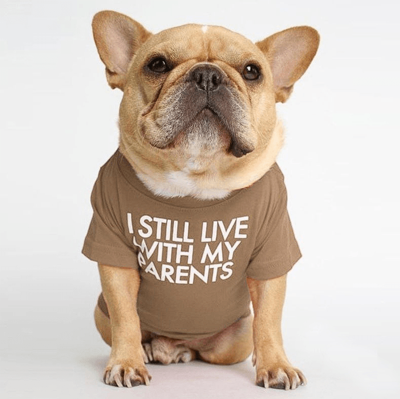 Fido French Bulldog Shirt | Cute Design, Soft Fabric 4