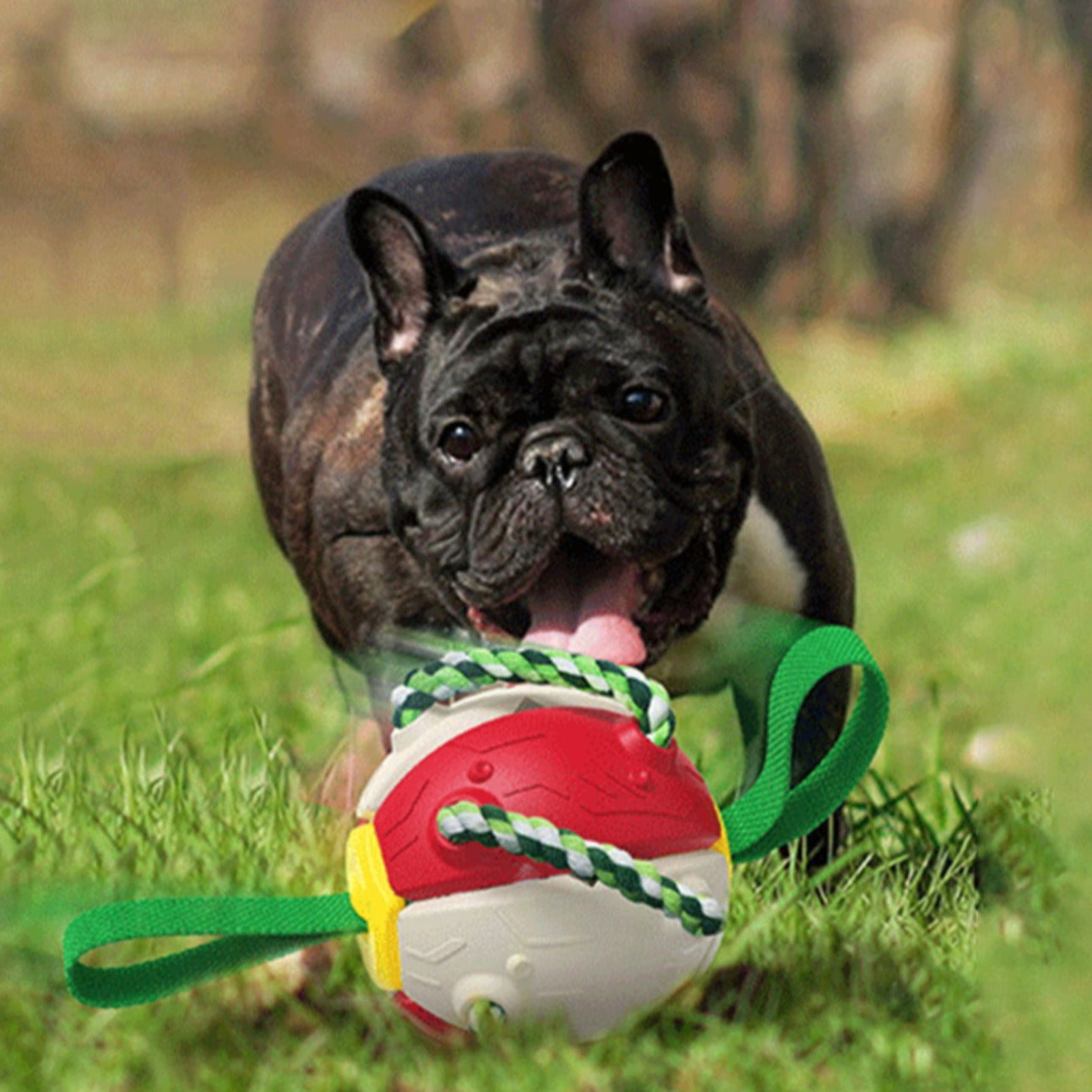Fido Frenzy Soccer Ball | Interactive Dog Toy, Chew-Resistant, Lightweight 0