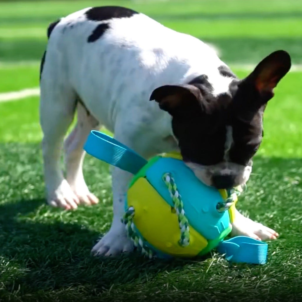 Fido Frenzy Soccer Ball | Interactive Dog Toy, Chew-Resistant, Lightweight 4