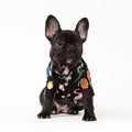 Fido Hawaiian Dog Shirt | Breathable Cotton, Easy Slip-On Design 0