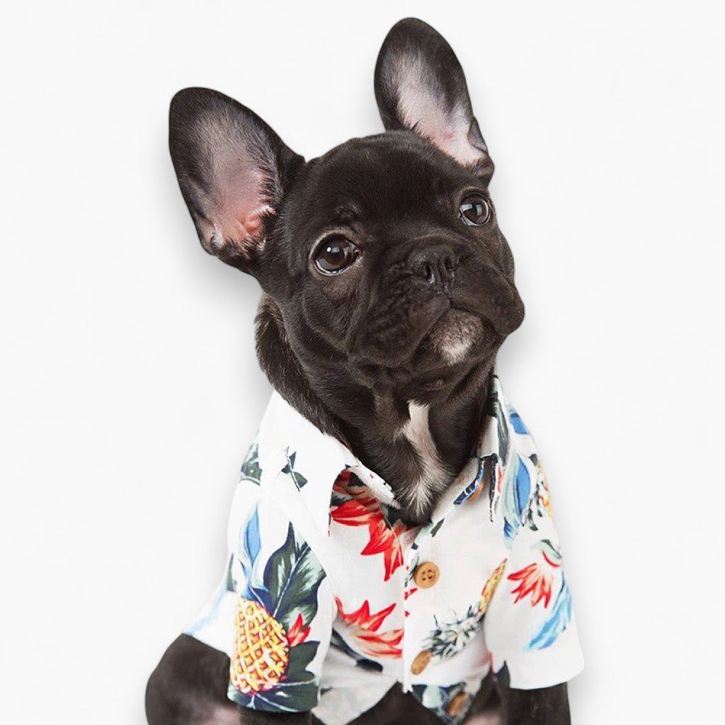 Fido Hawaiian Dog Shirt | Breathable Cotton, Easy Slip-On Design 1