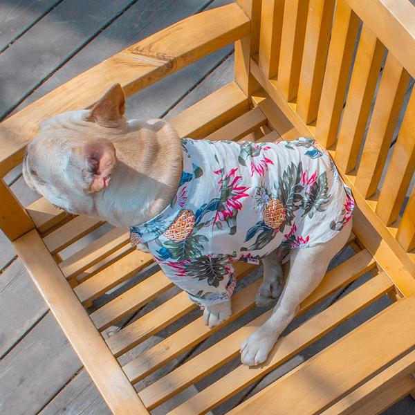 Fido Hawaiian Dog Shirt | Breathable Cotton, Easy Slip-On Design 2