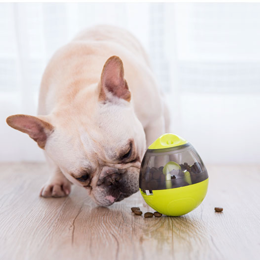 Fido Interactive Dog Puzzle Toy | Adjustable Difficulty, Durable Plastic 0