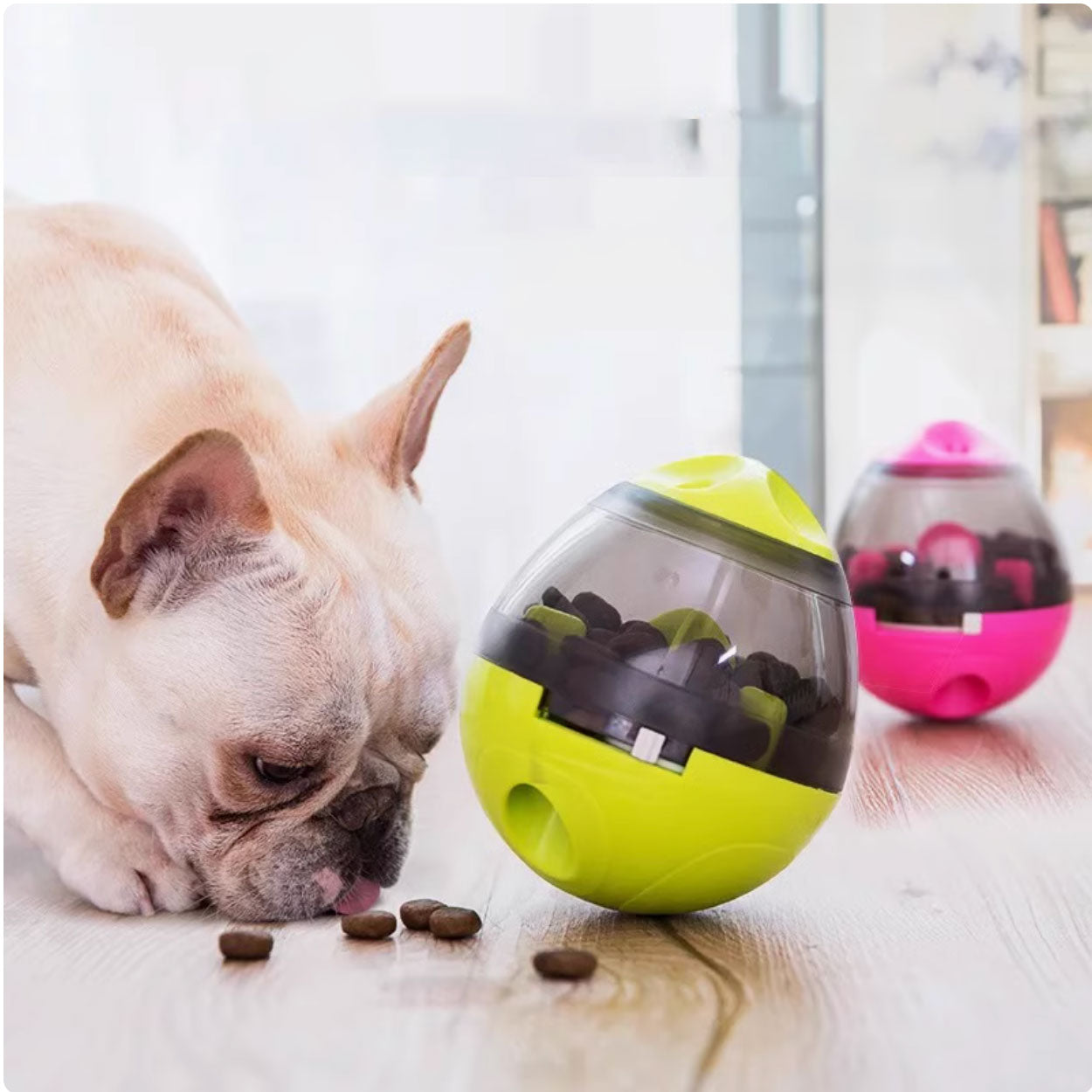 Fido Interactive Dog Puzzle Toy | Adjustable Difficulty, Durable Plastic 1