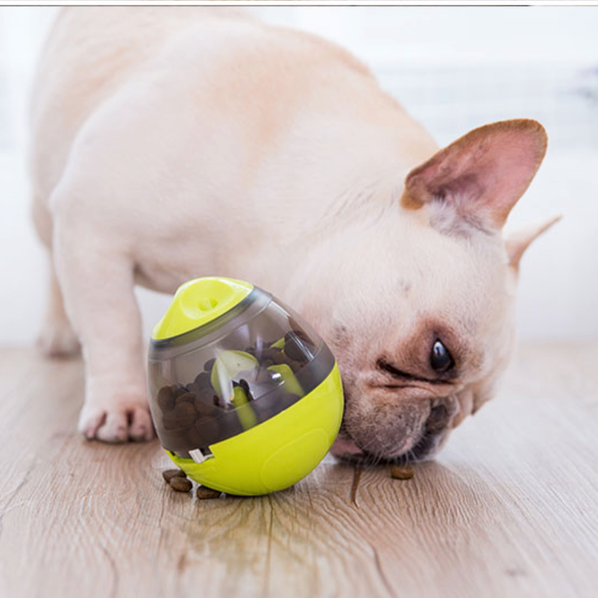 Fido Interactive Dog Puzzle Toy | Adjustable Difficulty, Durable Plastic 2