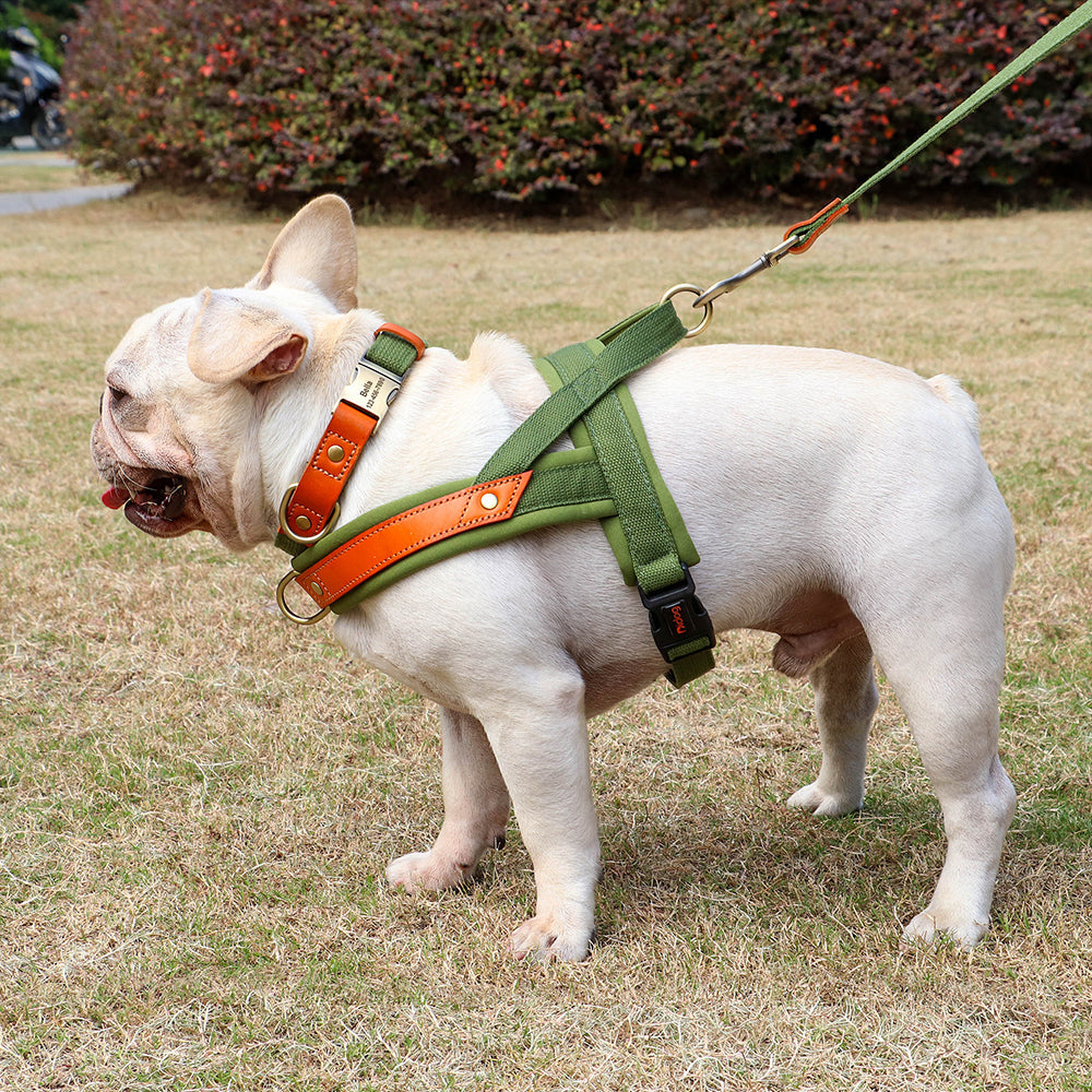 Fido No Pull Dog Harness | Comfortable Nylon with PU Leather Lining, Adjustable Fit 0