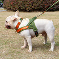 Fido No Pull Dog Harness | Comfortable Nylon with PU Leather Lining, Adjustable Fit 0