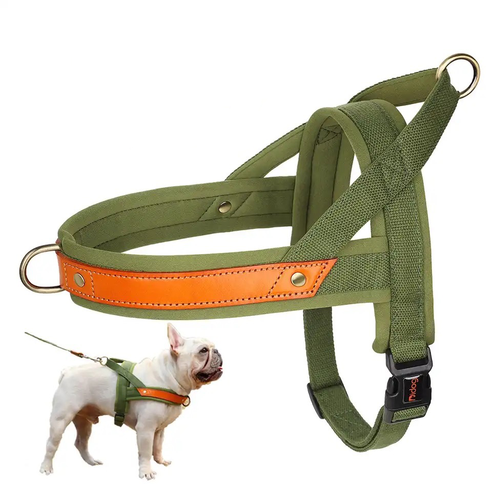 Fido No Pull Dog Harness | Comfortable Nylon with PU Leather Lining, Adjustable Fit 2