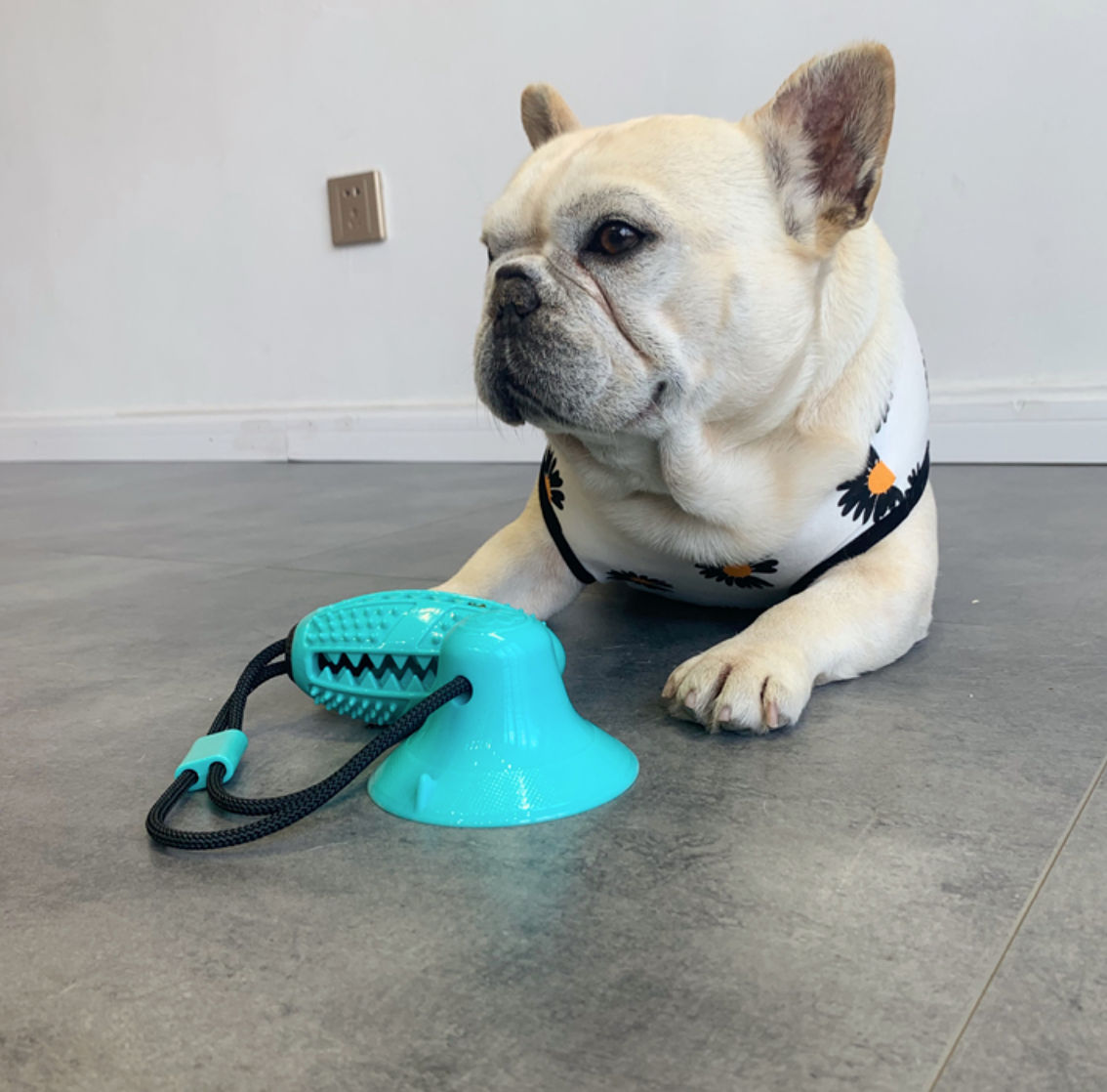 Fido TugToy | Interactive Chew Toy with Suction Cup for Dogs 2