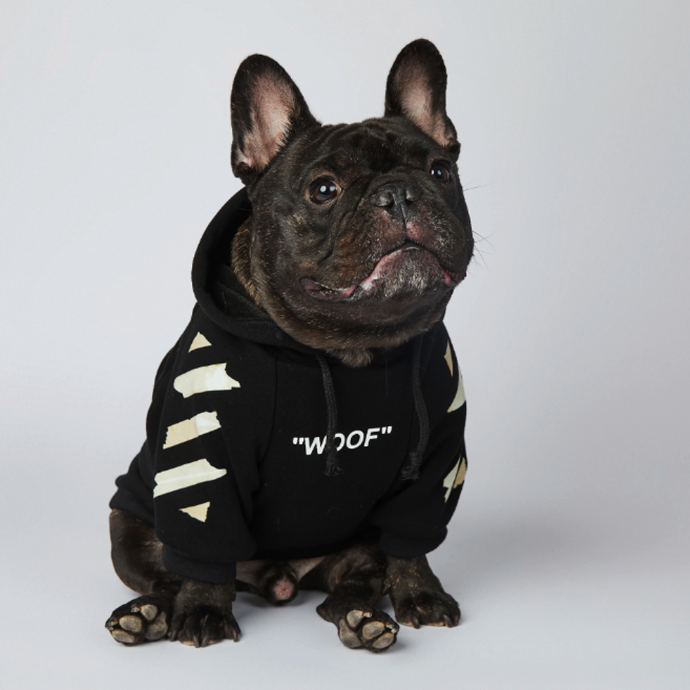 Fido Woof Dog Hoodie | Premium Cotton, Stylish Design for French Bulldogs 3