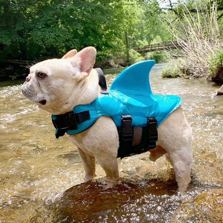 Finn Shark Life Vest | Durable, Buoyant Fabric 2