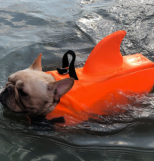 Finn Shark Life Vest | Durable, Buoyant Fabric 6