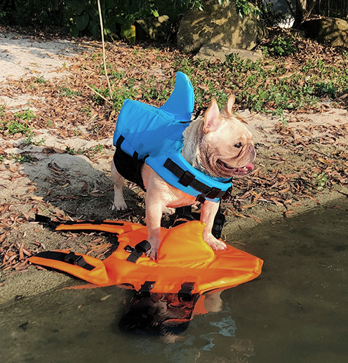 Finn Shark Life Vest | Durable, Buoyant Fabric 8