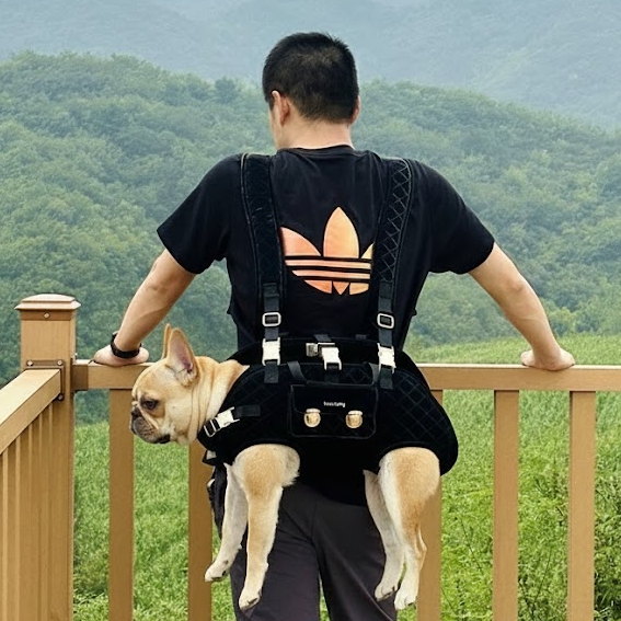 Frenzy Dog Carrier Bag | Ergonomic, Water-Resistant Design for Small Dogs 2