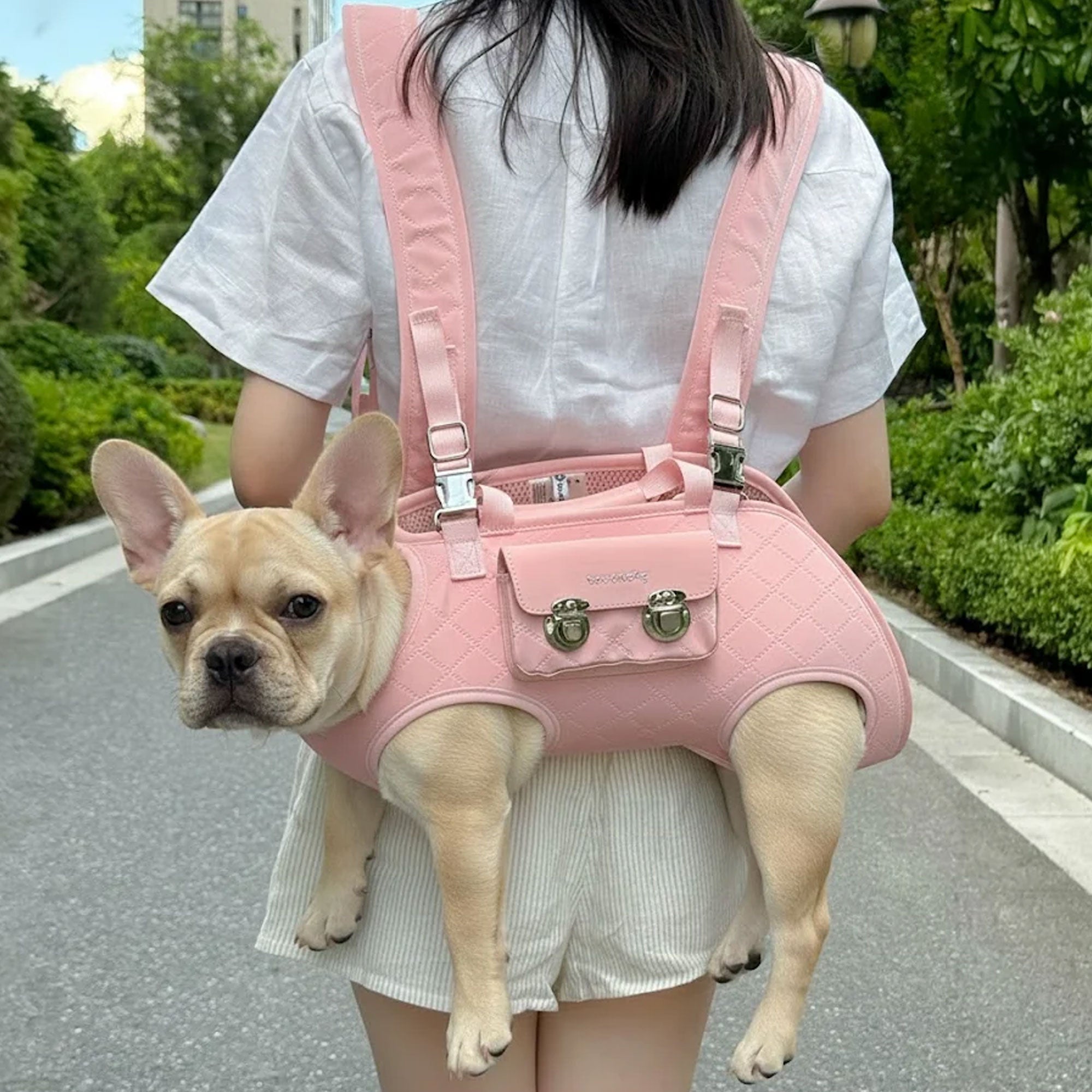 Frenzy Dog Carrier Bag | Ergonomic, Water-Resistant Design for Small Dogs 3