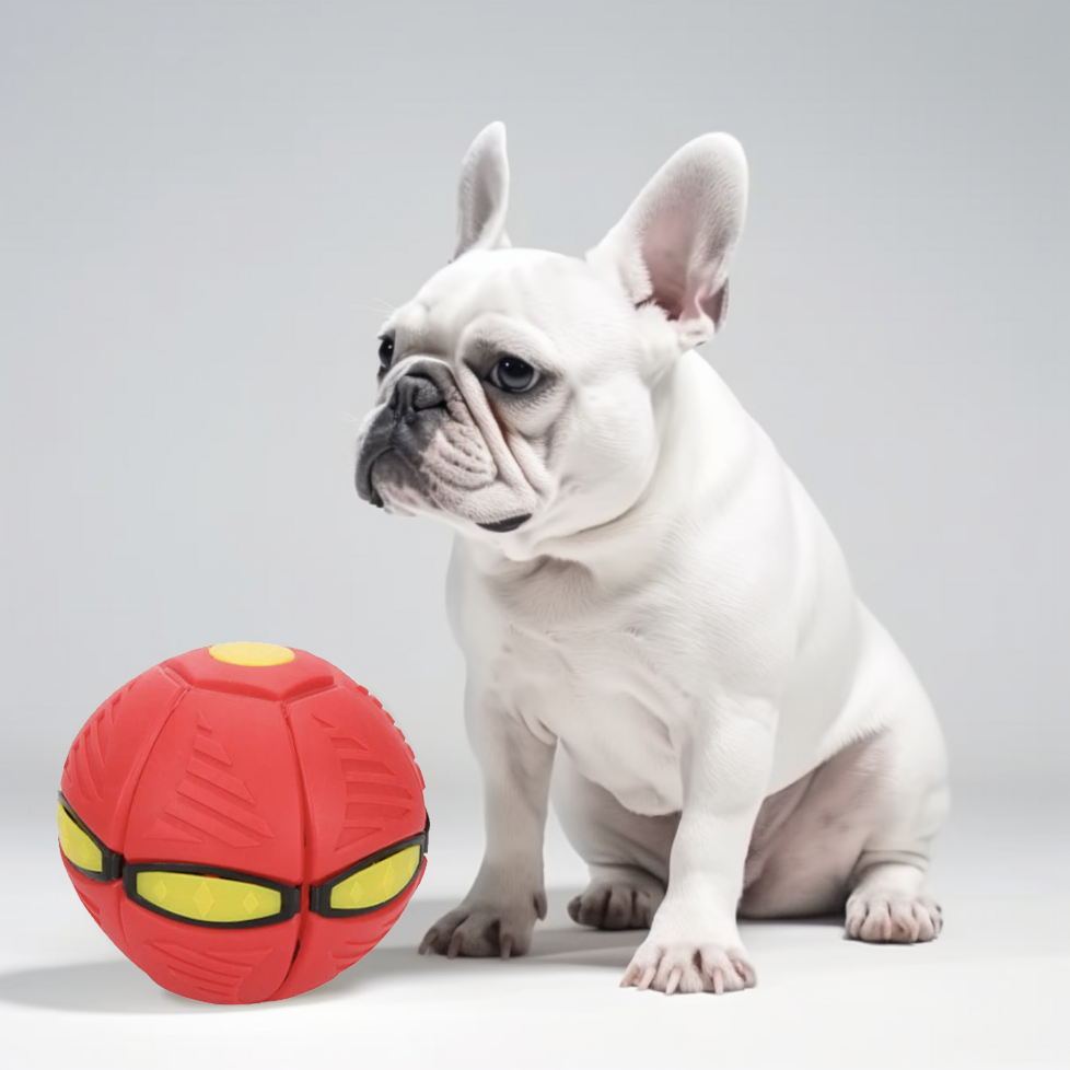 Frenzy Frenchie Ball | LED Light-Up, Durable Rubber Dog Toy 1