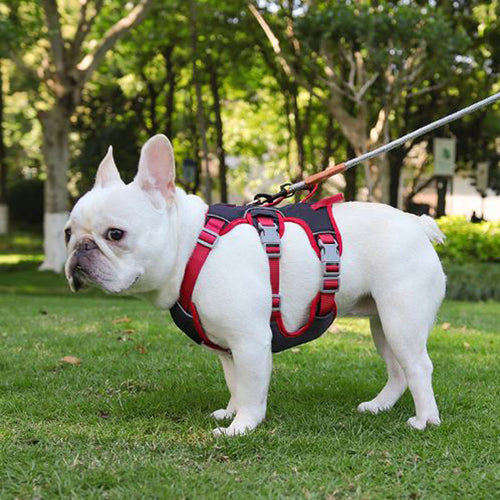 Frodo Dog Harness | No Pull, Reflective Safety Strap, Double Handle 0