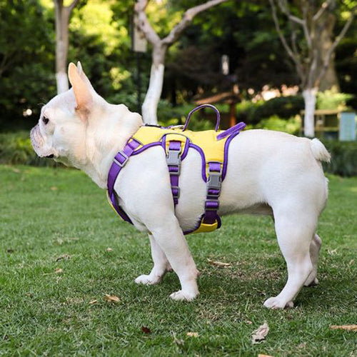 Frodo Dog Harness | No Pull, Reflective Safety Strap, Double Handle 1
