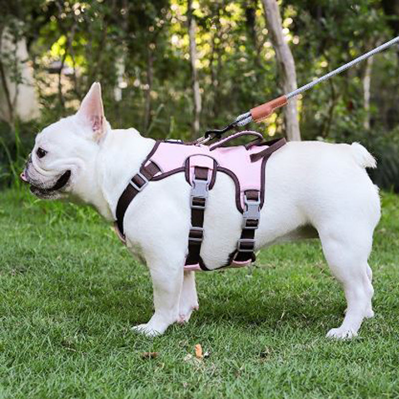 Frodo Dog Harness | No Pull, Reflective Safety Strap, Double Handle 3