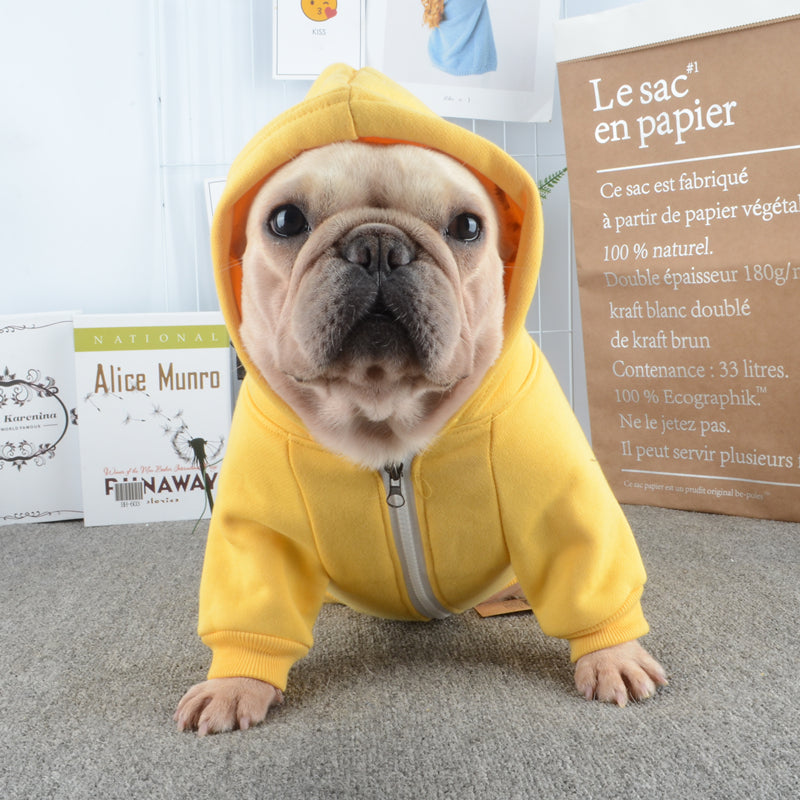 Frodo Dog Hoodie | Cozy Cotton, Tailored Fit for French Bulldogs 6
